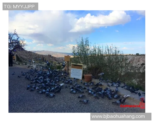 探索埃斯特旺的魅力与历史深度领略这座城市的独特风情与文化底蕴